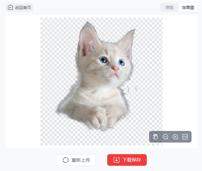 动植物图片如何抠图最简单？