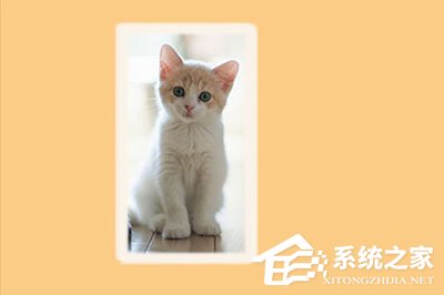 PS怎样给图片加边框？PS给图片加边框的方法