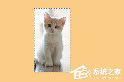 PS怎样给图片加边框？PS给图片加边框的方法