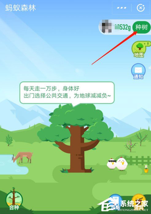 领取宝中怎样获取蚂蚁森林首页小鹿？领取宝中获取蚂蚁森林首页小鹿的方法