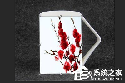 PS怎样给杯子贴图？PS给杯子贴图的方法