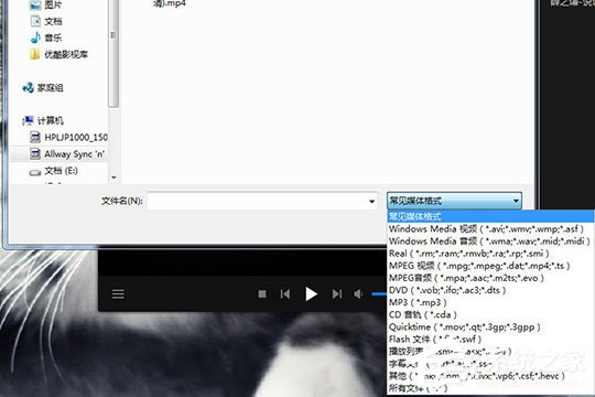 暴风影音闪电版怎样打开文件夹？暴风影音闪电版打开文件夹的方法