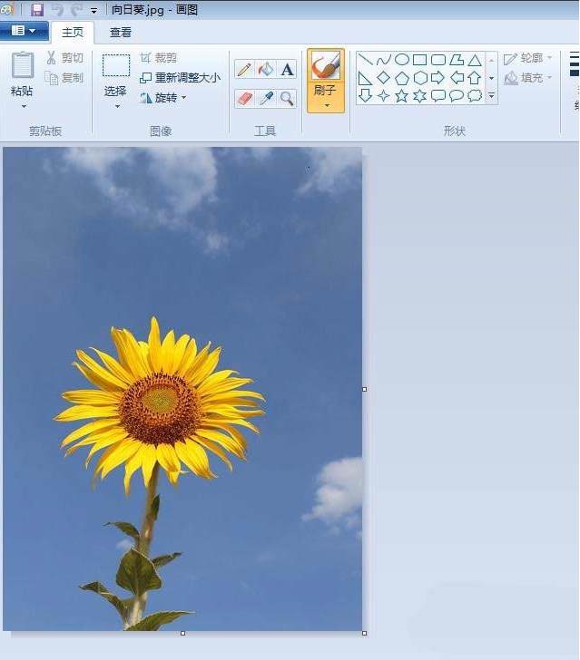 如何用画图工具制造圆形的头像    用画图工具制造圆形的头像的教程