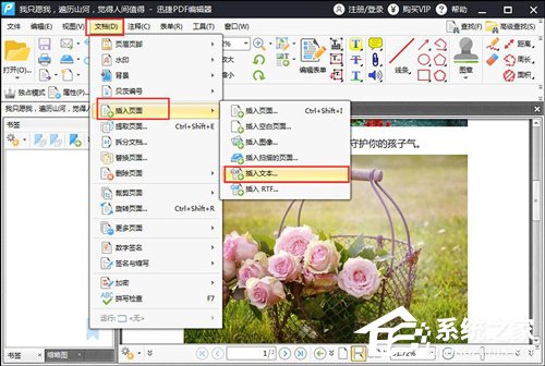 PDF可以插入文本吗？文本插入方法详解