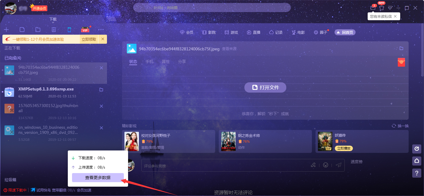 迅雷X怎样查看下载数据概况？