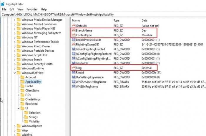 让不符合条件的设备晋级Windows11