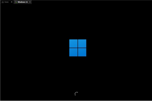 Win11纯净版怎样安装