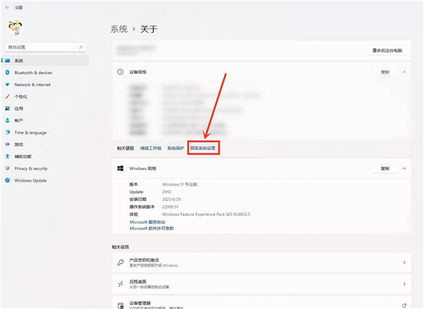 Win11功能选项怎样设置最好