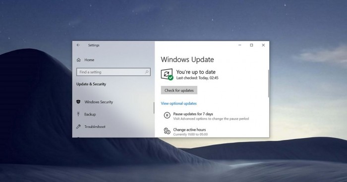 完美晋级Windows10 2021年5月功能更新
