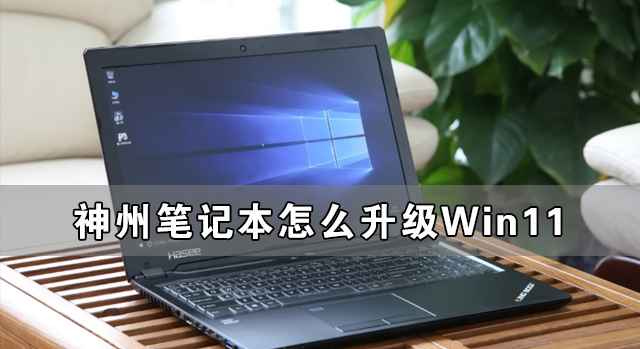 神州笔记本怎样晋级Win11