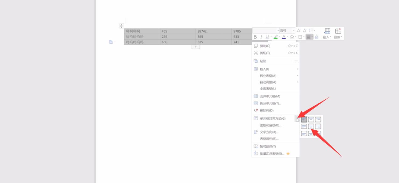 wps文字上下居中怎样弄？