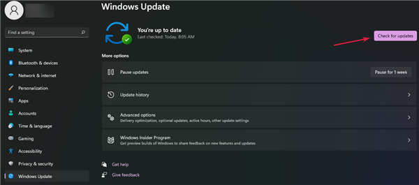 怎样检查Windows11中的新更新