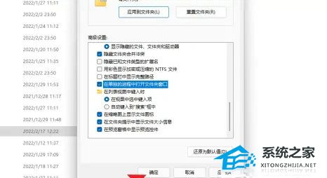 Win11打开文件夹有延迟的处理方法