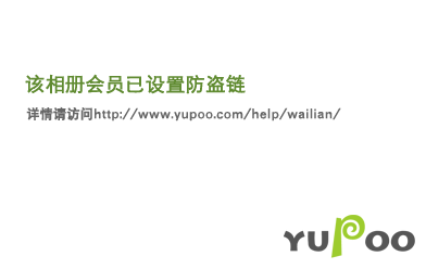 爱恨恢恢封面