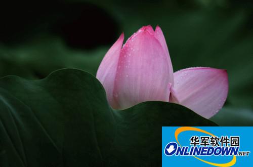 5个步骤轻松提亮暗部区域