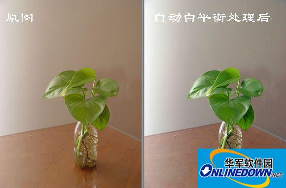 自动白均衡