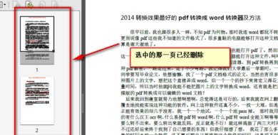 adobe reader xi怎样删除其中一页 adobe reader xi删除其中一页的方法截图