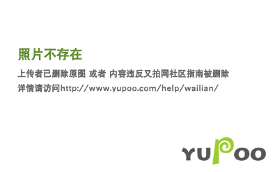  L的专栏